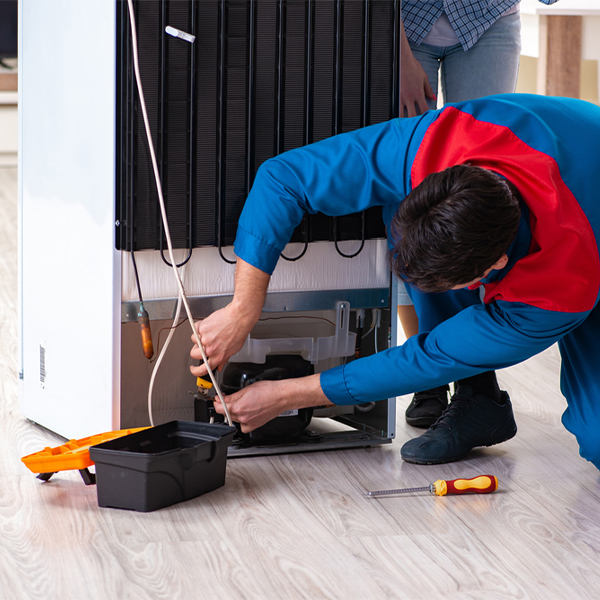 what are the common refrigerator repair services in Mesa WA